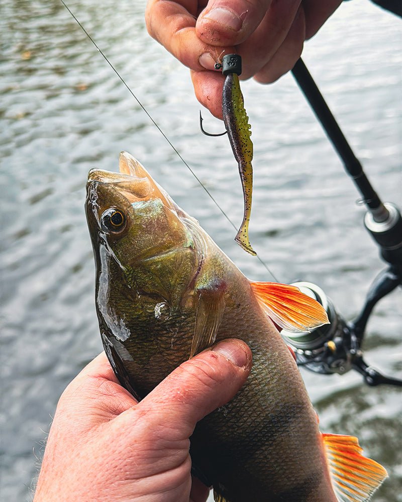 Anzuelos Fox Rage Micro Ned Heads Camo 1/0 - Tienda Bass