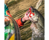Vinilo Strike King Craw 101 mm Delta Red