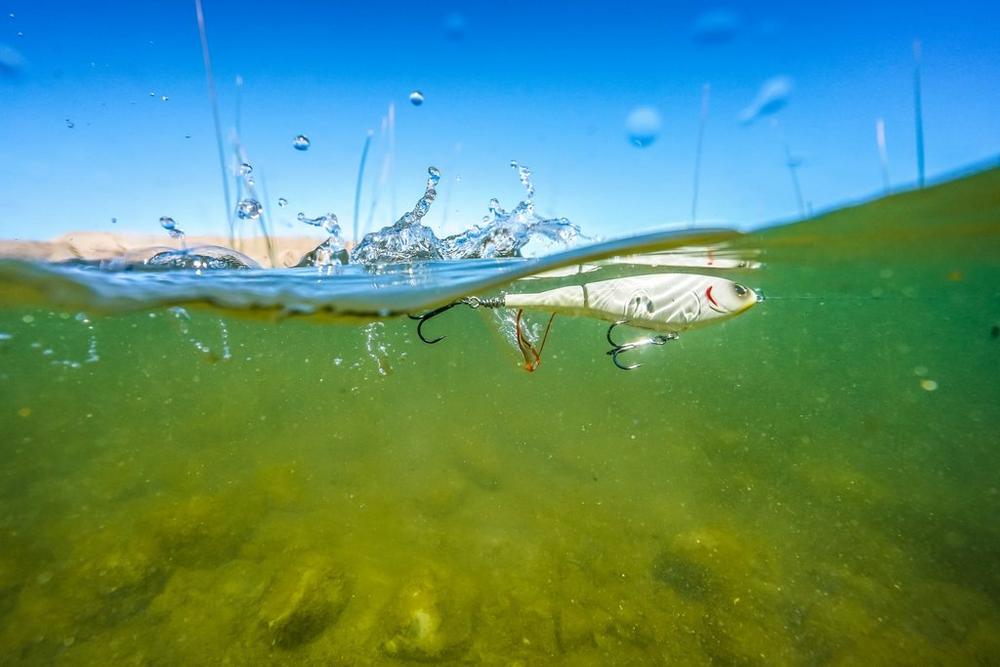 Señuelo Berkley Choppo 90 mm 14 g MFBG - Tienda Bass