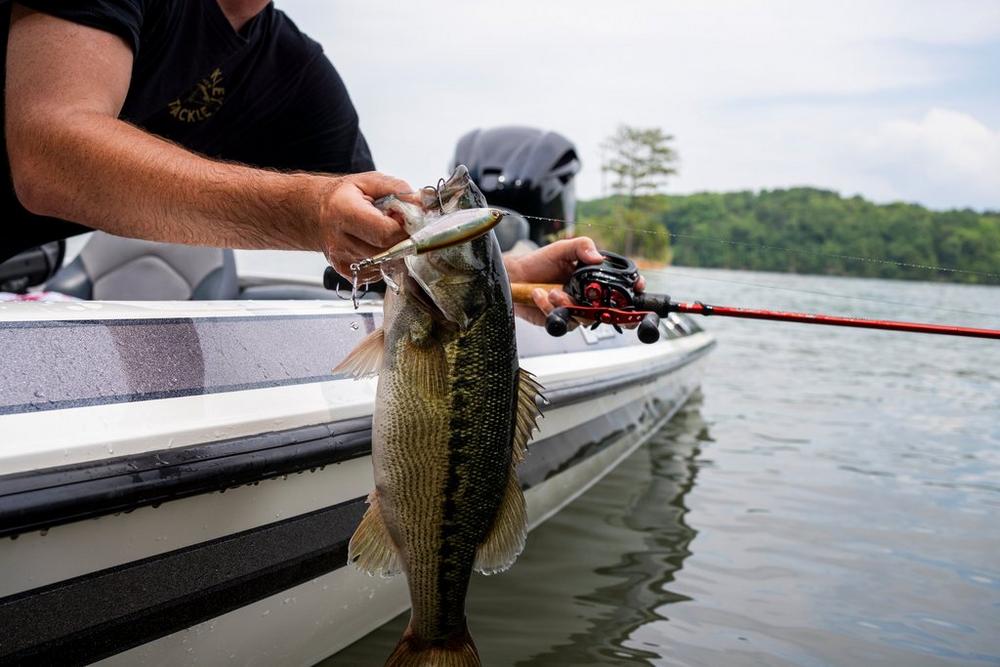 Señuelo Berkley Choppo 90 mm 14 g PGH - Tienda Bass